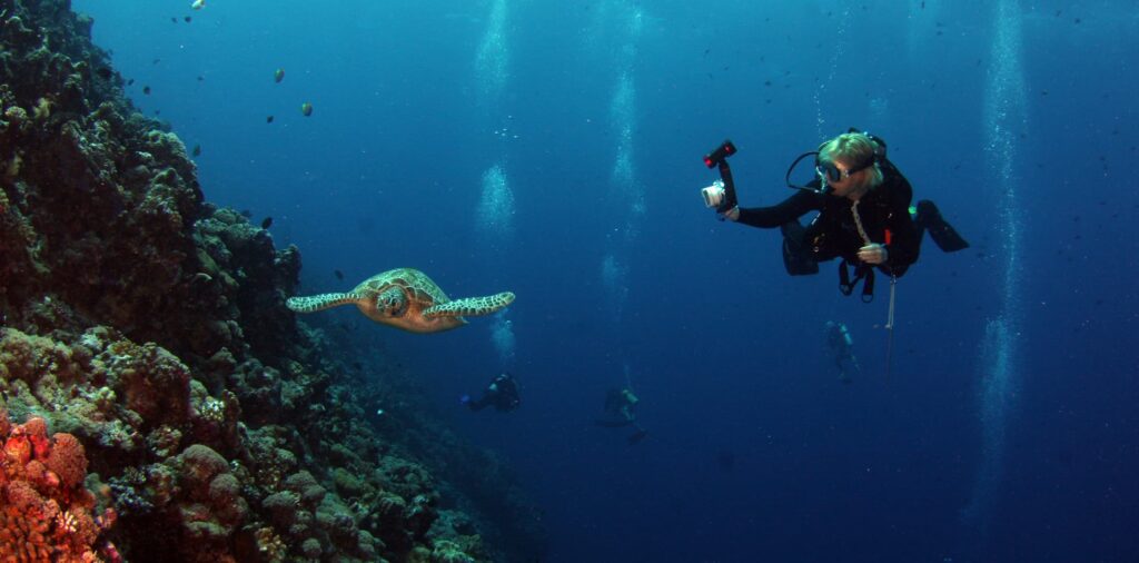 Buceador filmando peces tropicales bajo el agua. Fotografía y vídeo submarino.