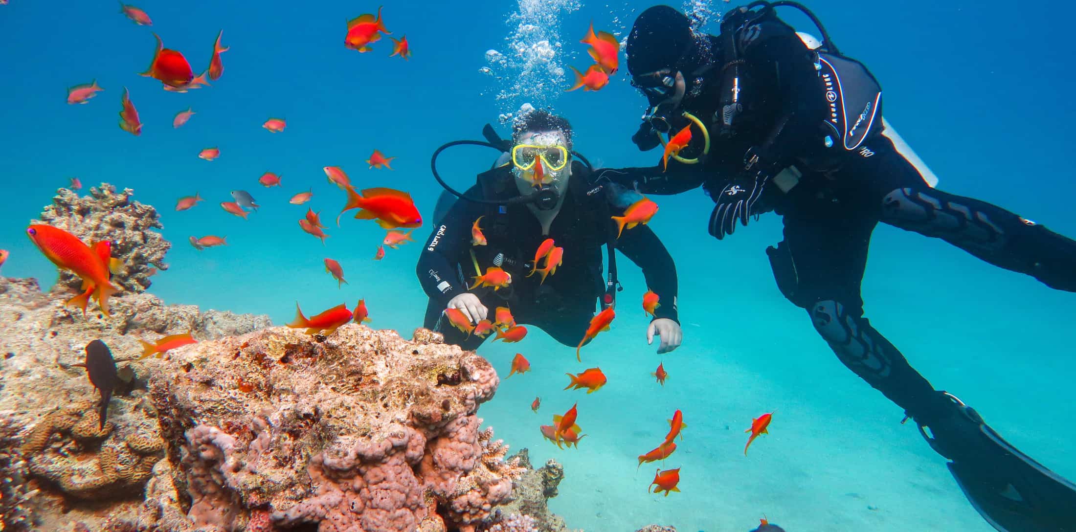 Dos buceadores explorando arrecife con peces tropicales. Submarinismo en aguas cálidas.