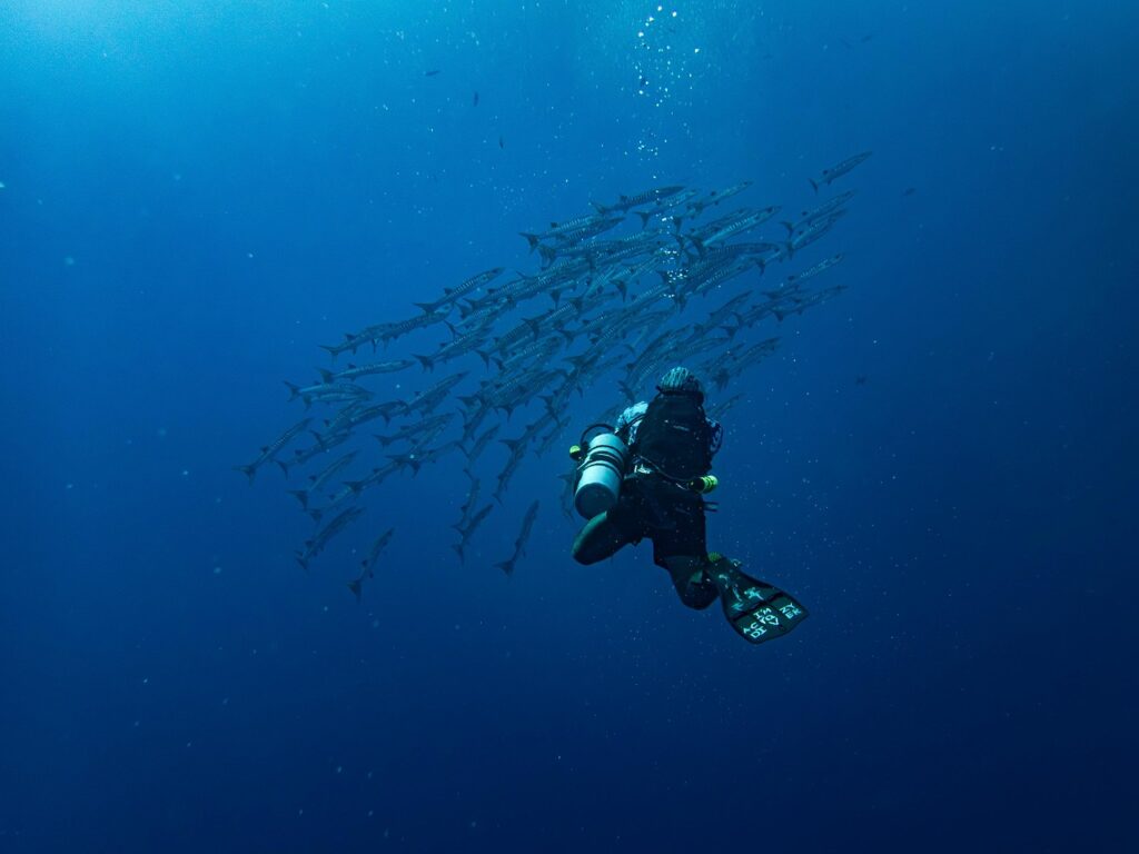Dos buceadores en aguas profundas nadando entre bancos de peces. Buceo en mar abierto.