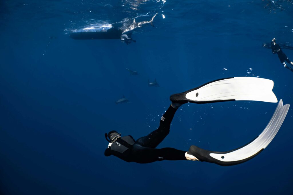 Apneísta descendiendo hacia el fondo marino en apnea libre. Submarinismo en profundidad.