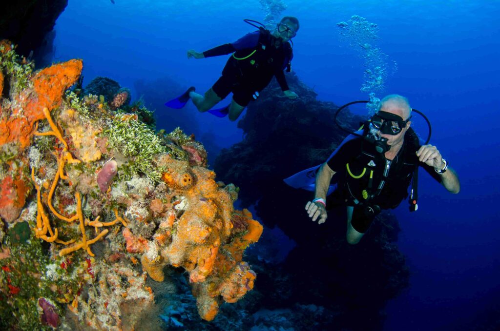 Dos buceadores explorando arrecife con corales. Submarinismo en pareja.