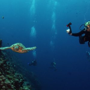 Buceador filmando peces tropicales bajo el agua. Fotografía y vídeo submarino.
