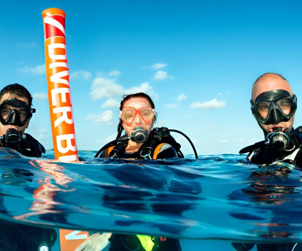 Grupo_trabajadores Grupo de buceadores disfrutando en superficie. Experiencia de submarinismo compartida.