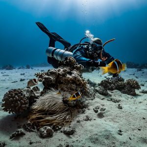 Buceador explorando arrecife con corales. Submarinismo en pareja.