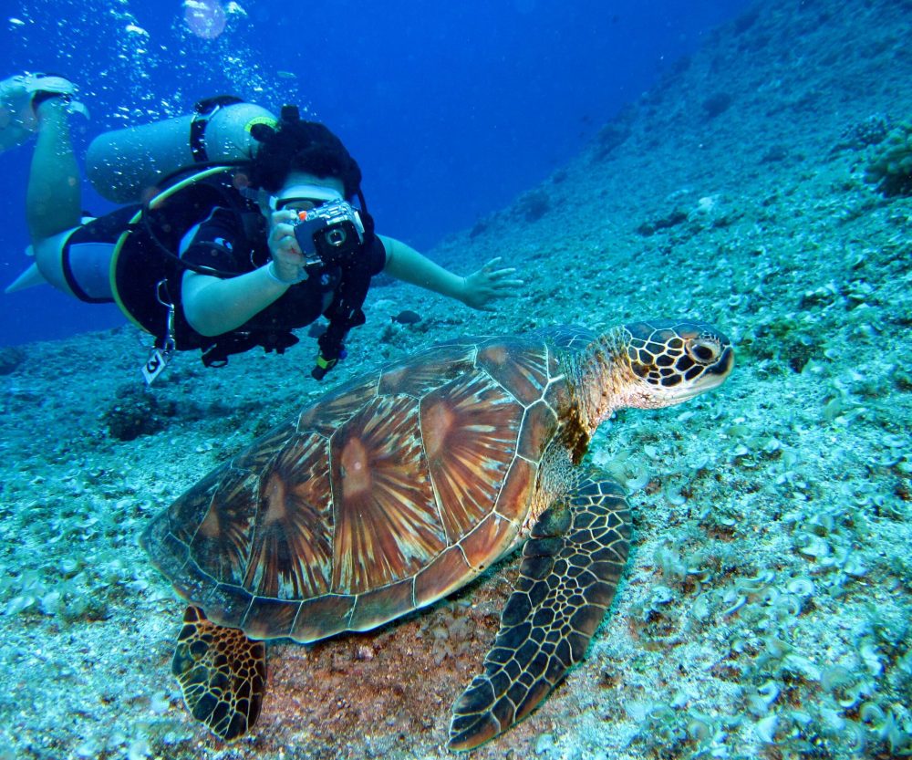 Buceador con tortuga marina en arrecife tropical. Experiencia de buceo inolvidable.